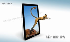 智能星 以信賴鑄就品牌，以創新引領未來——數碼廣告機市場的發展之路